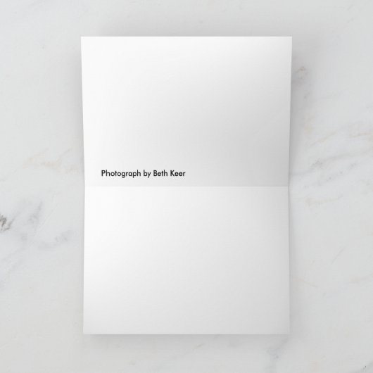 DSC_0119 カード (内部)