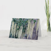 DSC_0119 カード (正面)