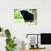 DSC_0235、PAUL GAVINによる撮影 ポスター (ホームオフィス)