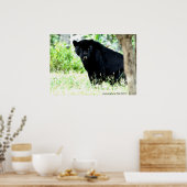 DSC_0235、PAUL GAVINによる撮影 ポスター (キッチン)