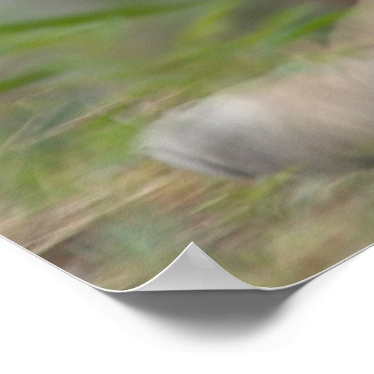 DSC_0254、PAUL GAVINによる撮影 ポスター (角)