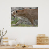 DSC_0254、PAUL GAVINによる撮影 ポスター (キッチン)