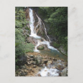 DSC_0335 ポストカード (正面)