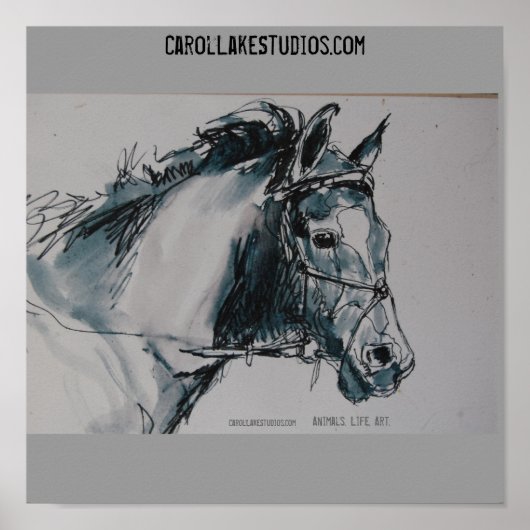 DSC_0462、動物。人生だ。アート., CarolLakeStudio... ポスター (正面)