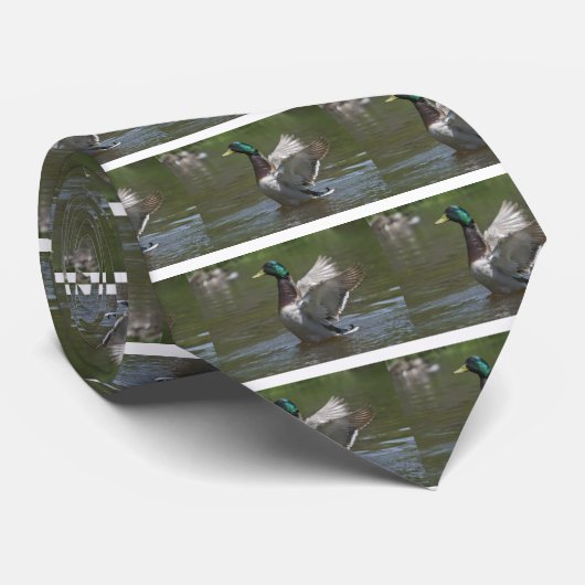 DSC_0504 ネクタイ (ロール)