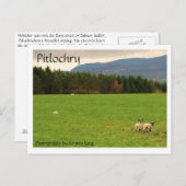 DSC_0522、Pitlochry、Photograhpy by Kirsten King ポストカード (正面/裏面)