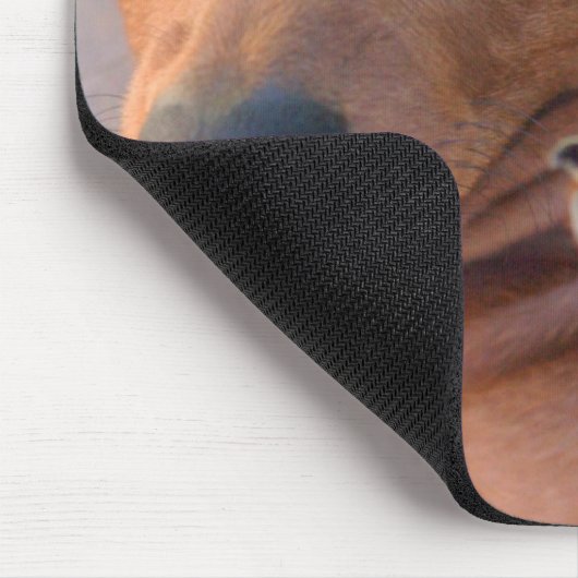 DSC_1359 マウスパッド (コーナー)