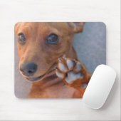 DSC_1359 マウスパッド (マウス)