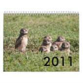 DSC_2816 2011年 カレンダー (カバー)