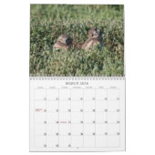 DSC_2816 2011年 カレンダー (3月 2026)