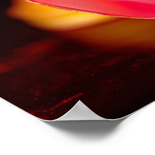 DSC_3084 ポスター (角)