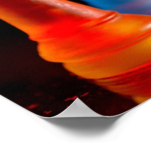 DSC_3117 ポスター (角)