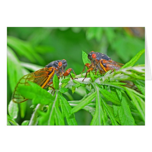 DSC_3480ps.jpg (正面横)