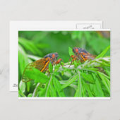 DSC_3480ps.jpg ポストカード (正面/裏面)