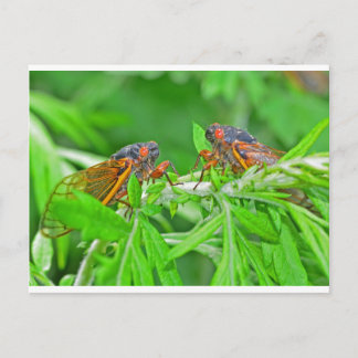 DSC_3480ps.jpg ポストカード