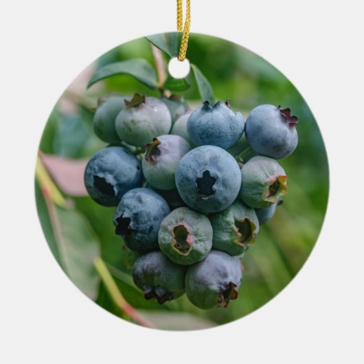 DSC_4190 セラミックオーナメント (正面)