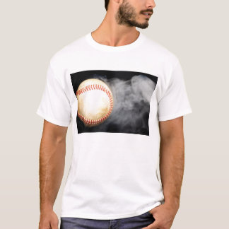 DSC_7682_1883_Baseballのコピー Tシャツ