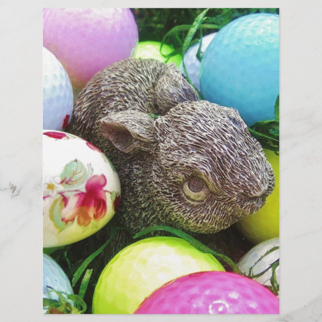 DSCF0438.JPG (正面)