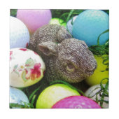 DSCF0438.JPG タイル (正面)