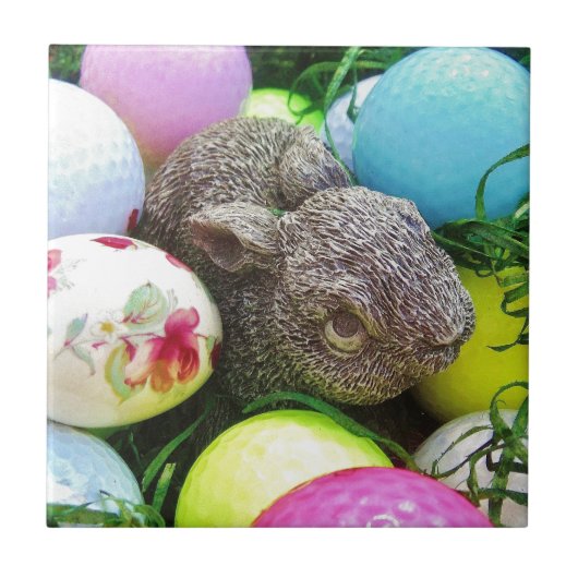 DSCF0438.JPG タイル (正面)