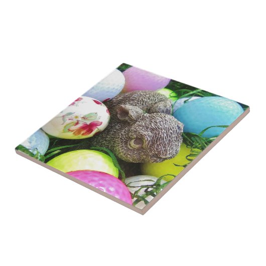 DSCF0438.JPG タイル (側面)