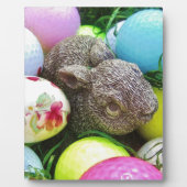 DSCF0438.JPG フォトプラーク (正面)