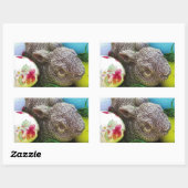 DSCF0438.JPG 長方形シール (シート)