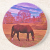 DSCF0536.JPG コースター (正面)