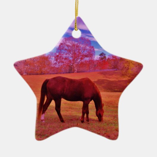 DSCF0536.JPG セラミックオーナメント (正面)