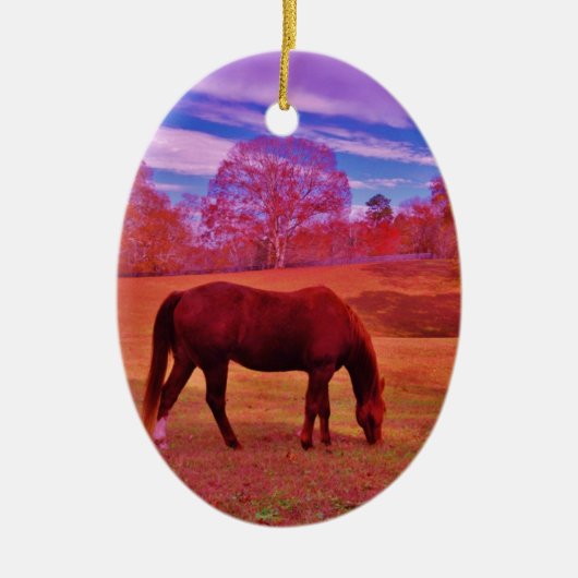 DSCF0536.JPG セラミックオーナメント (正面)