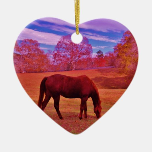 DSCF0536.JPG セラミックオーナメント (正面)