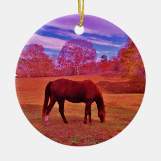 DSCF0536.JPG セラミックオーナメント (正面)