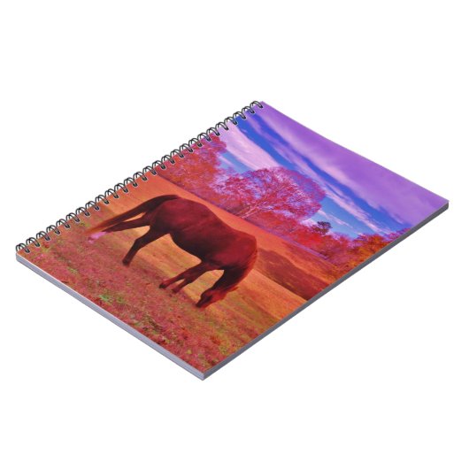 DSCF0536.JPG ノートブック (左側)