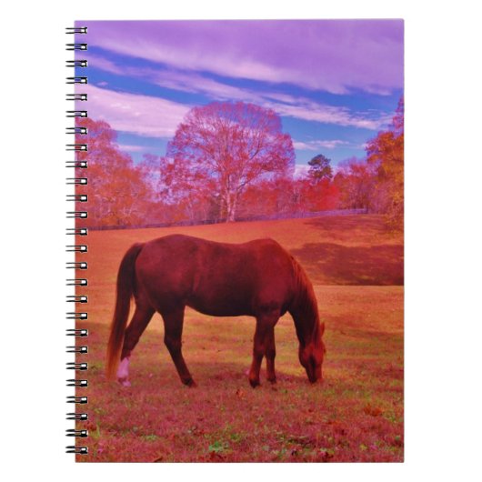 DSCF0536.JPG ノートブック (正面)