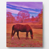 DSCF0536.JPG フォトプラーク (正面)