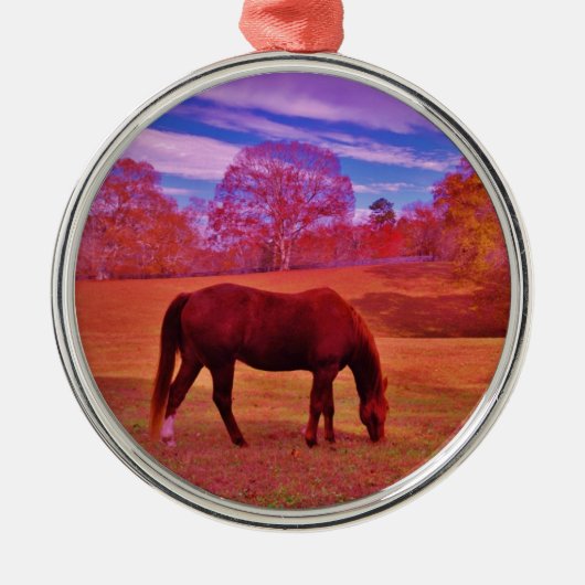 DSCF0536.JPG メタルオーナメント (正面)