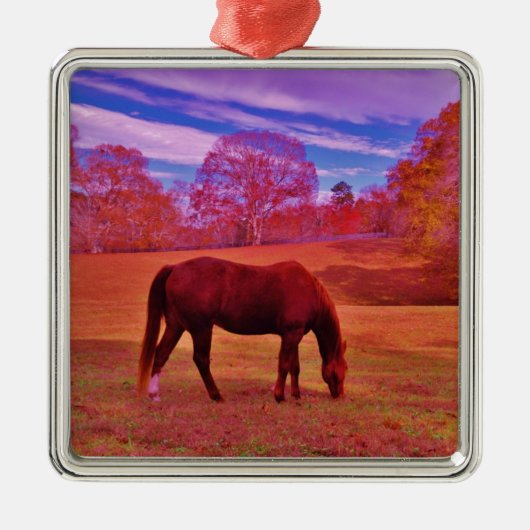 DSCF0536.JPG メタルオーナメント (正面)