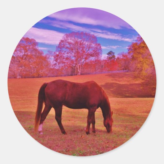 DSCF0536.JPG ラウンドシール (正面)