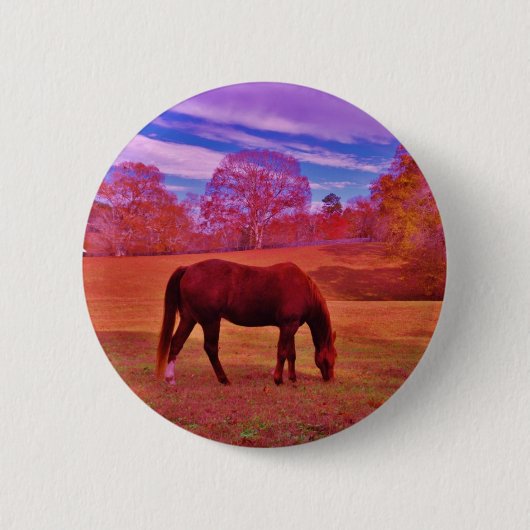 DSCF0536.JPG 缶バッジ (正面)