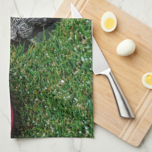 DSCF0652.JPG キッチンタオル (四つ折り)