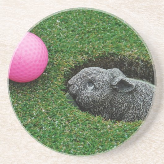 DSCF0652.JPG コースター (正面)