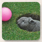 DSCF0652.JPG コースター (正面)