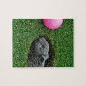 DSCF0652.JPG ジグソーパズル (横)