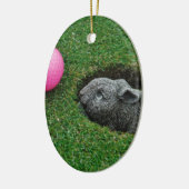 DSCF0652.JPG セラミックオーナメント (左)