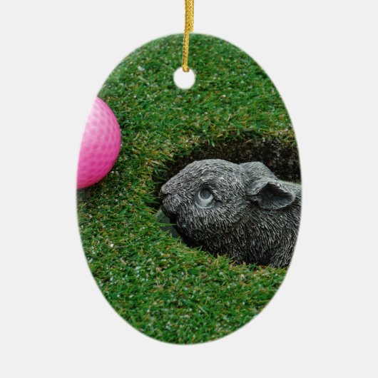 DSCF0652.JPG セラミックオーナメント (正面)