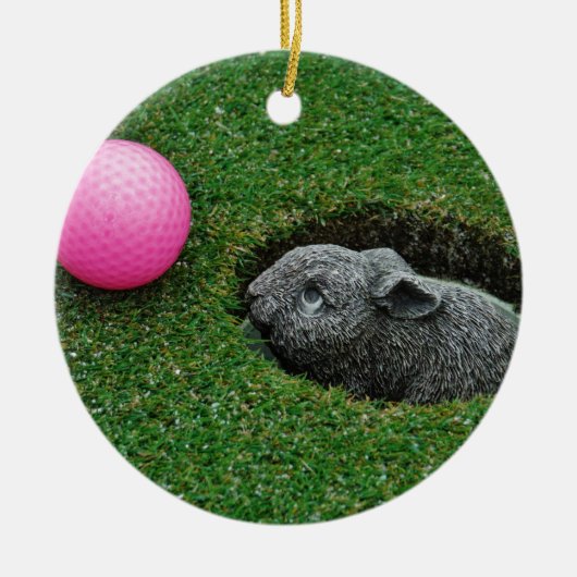 DSCF0652.JPG セラミックオーナメント (正面)