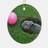 DSCF0652.JPG セラミックオーナメント (左)