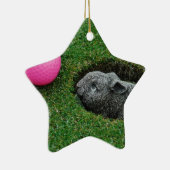 DSCF0652.JPG セラミックオーナメント (右)