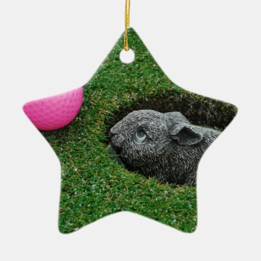 DSCF0652.JPG セラミックオーナメント (正面)