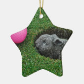 DSCF0652.JPG セラミックオーナメント (左)